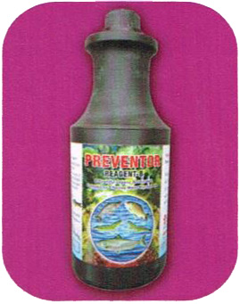 Preventor